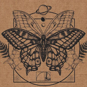 Meet your Posher, Shyla